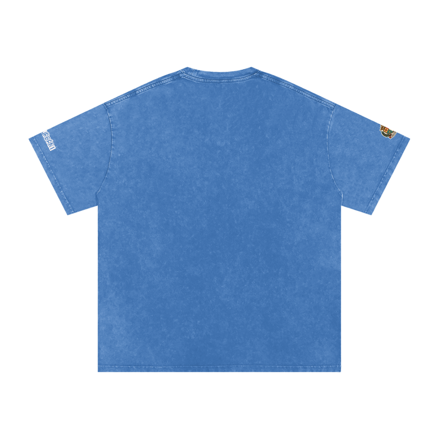 Historically Accurate Snow Washed Oversized Cotton T-Shirt