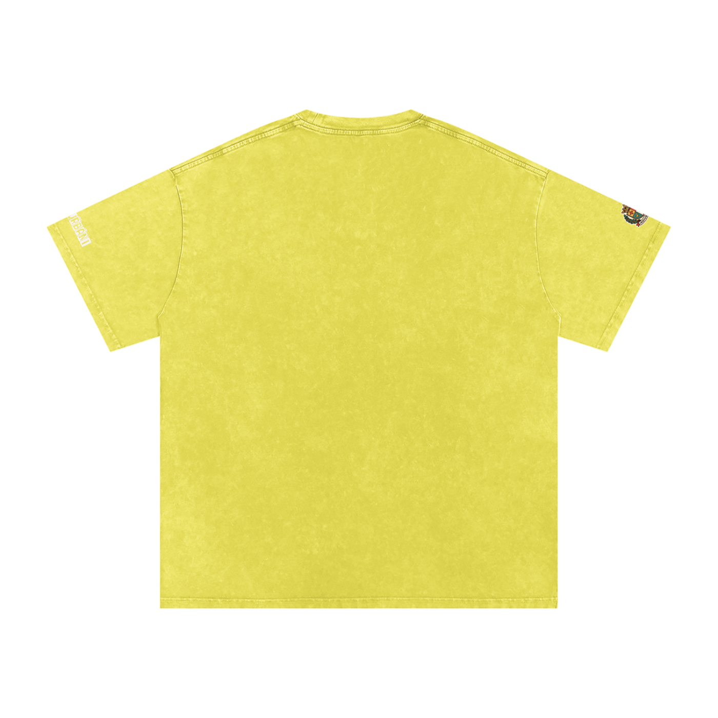 Historically Accurate Snow Washed Oversized Cotton T-Shirt