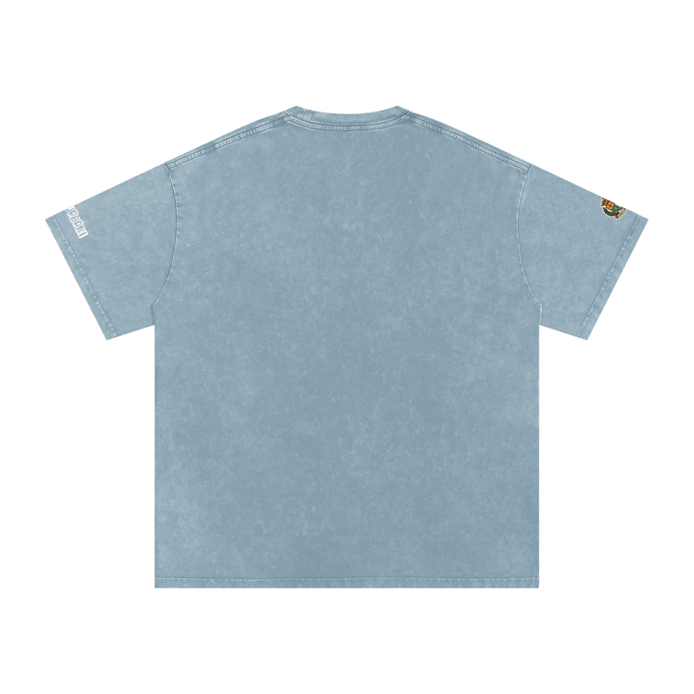 Historically Accurate Snow Washed Oversized Cotton T-Shirt